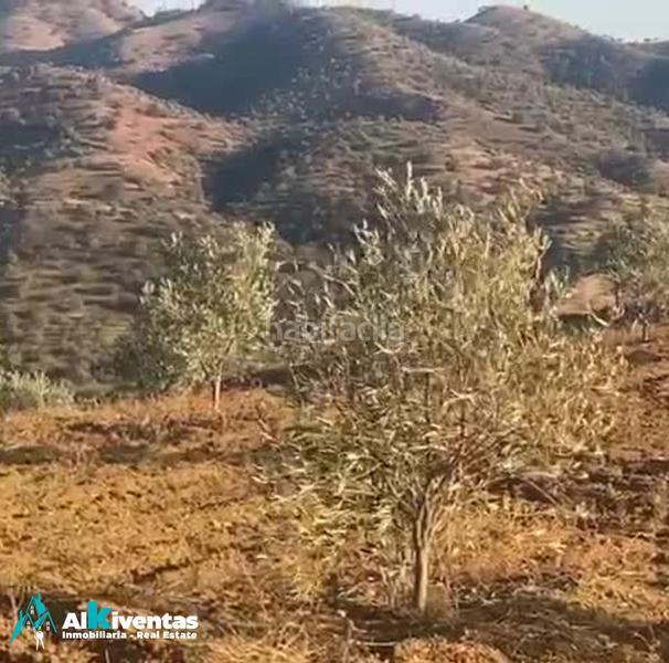 Foto d453ec2a-5c8e-41bc-8b91-c40cef4c6a9d. Propriété dans Álora