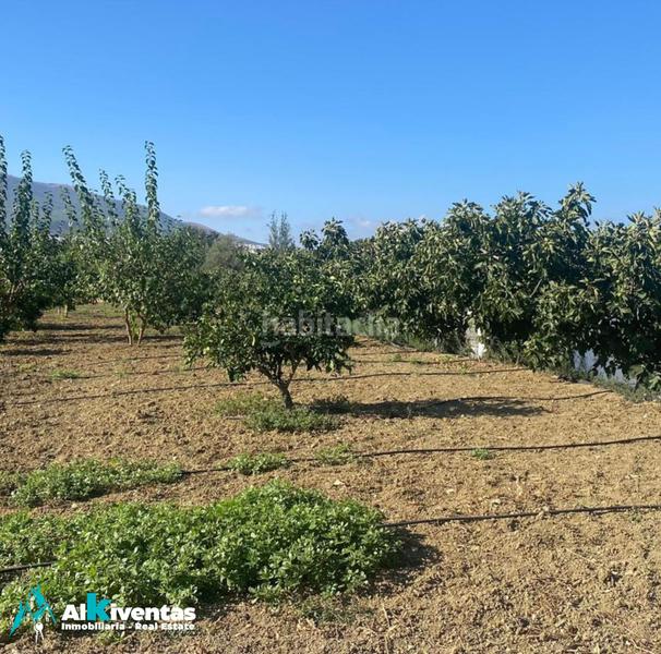 Foto 976e9c1a-07a9-412a-ae3a-f3b0286a109e. Bauernhof in carretera de cártama 88 in Centro Alhaurín el Grande