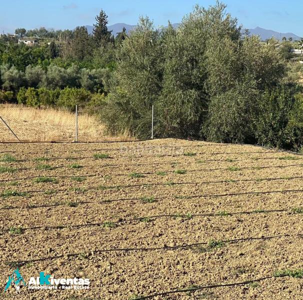 Foto df47b588-2f57-4a66-9006-eab20a949b70. Bauernhof in carretera de cártama 88 in Centro Alhaurín el Grande