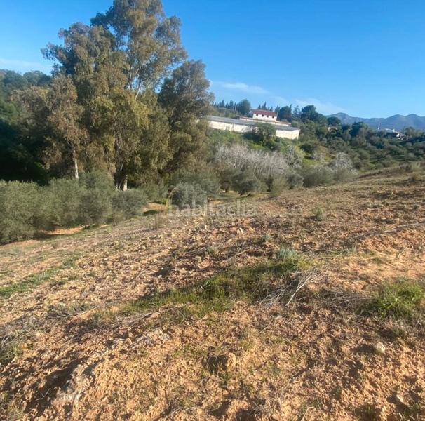 Foto 0957fe7d-3cff-4d1d-b45a-ee9340d6c6df. Fondo rustico in Centro Alhaurín el Grande