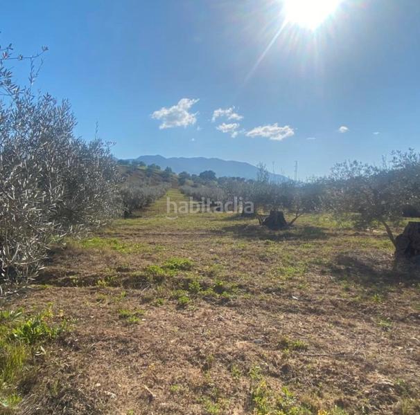 Foto 3043b55c-24f7-4da3-8150-63f9e38139d6. Fondo rustico in Centro Alhaurín el Grande