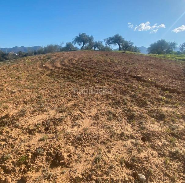 Foto 35576b1f-45a7-4993-a34d-2847bb56c823. Fondo rustico in Centro Alhaurín el Grande