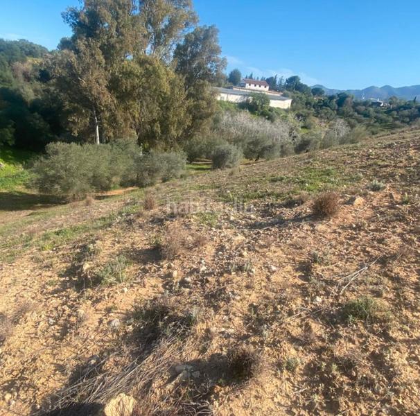 Foto aa520943-70b1-4eba-b910-d6a8c5326b24. Fondo rustico in Centro Alhaurín el Grande