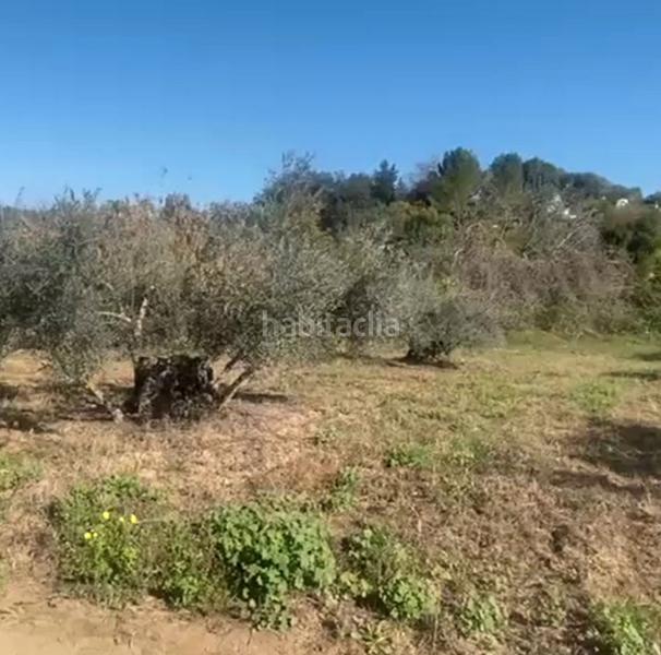 Foto e107bb63-1453-45c9-b588-e0d095b0a387. Fondo rustico in Centro Alhaurín el Grande