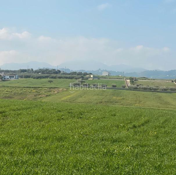 Foto 07a11c5a-0b75-4e0a-a6e2-f202ffe7fac3. Finca rústica a Centro Alhaurín el Grande