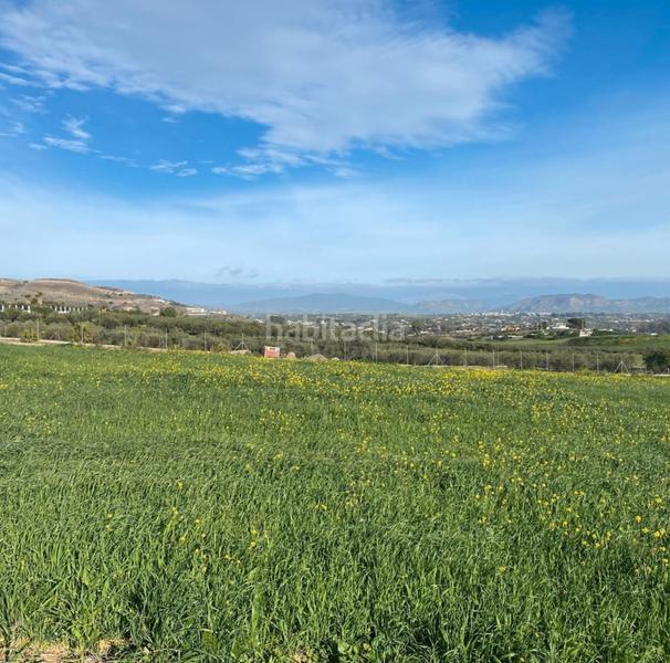 Foto 4ceaae1a-07a1-4e10-94bf-ebd2dcfc4f8d. Finca rústica a Centro Alhaurín el Grande