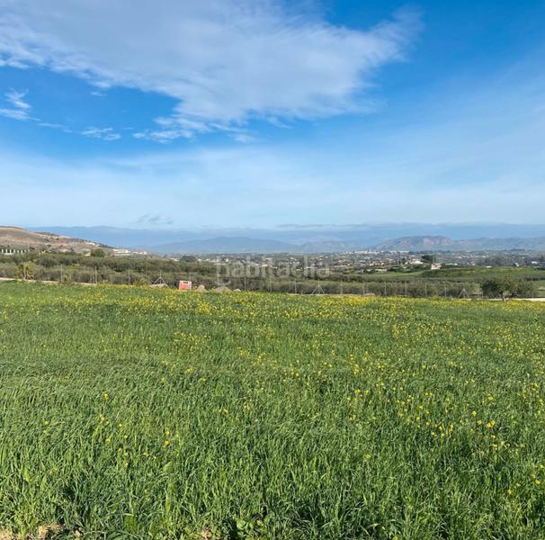 Foto 76b48955-89d7-4910-94c0-e074d67514a0. Finca rústica a Centro Alhaurín el Grande