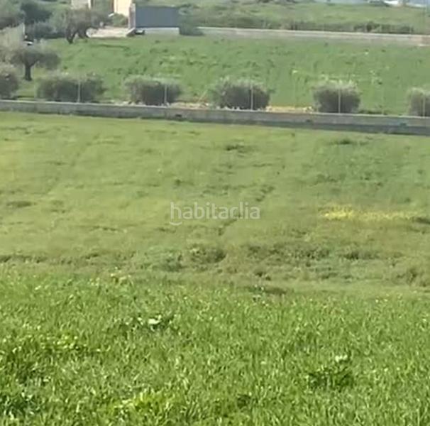 Foto a08ba48e-d4b2-4e1a-a5b4-0902767994fe. Finca rústica a Centro Alhaurín el Grande