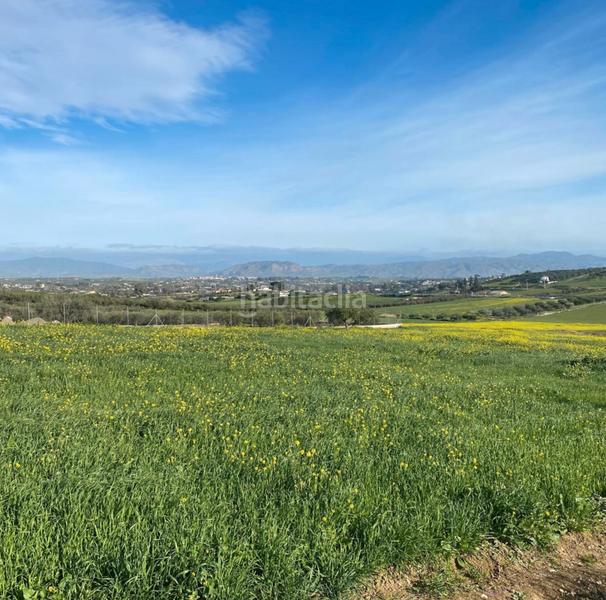 Foto a7fc5bed-af74-4f7a-905a-08e0f0eca3cb. Finca rústica a Centro Alhaurín el Grande