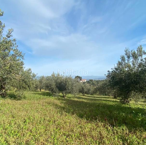 Foto b4712c9b-720b-4c6f-87b0-d7d67a650b4d. Finca rústica a Centro Alhaurín el Grande