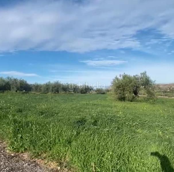 Foto e94fb20b-c25e-4485-a65e-b29e7b136e03. Finca rústica a Centro Alhaurín el Grande