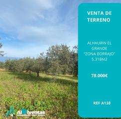 Finca rústica  N/a. Ref a138 venta de terreno rustico borrajo