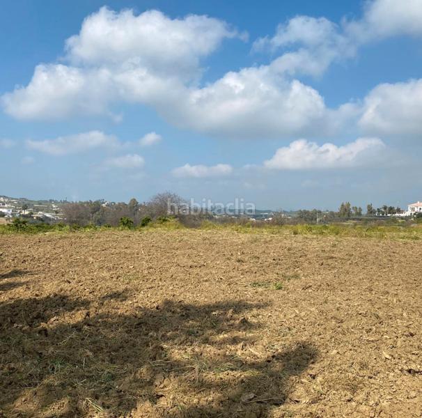 Foto 5ba9df49-621d-4ae7-a277-7ec2461f2417. Finca rústica a Cártama