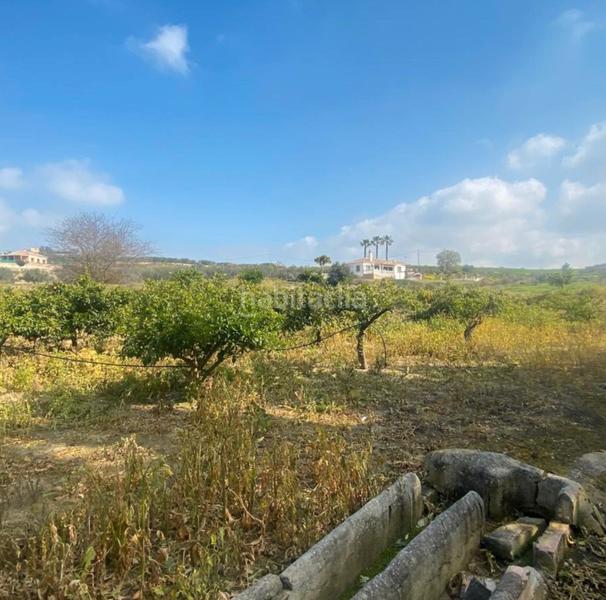 Foto 5f72b381-5f24-4b81-8d00-14498861786a. Finca rústica a Cártama