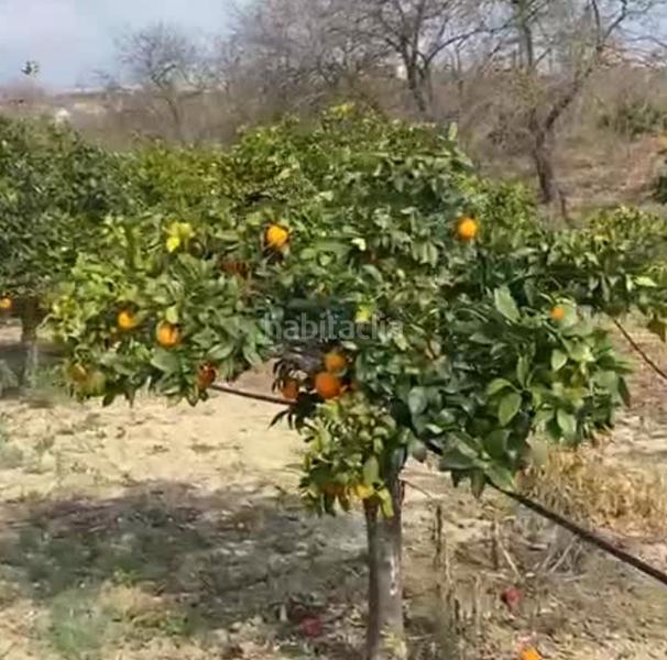 Foto 643c4597-45b7-4ce5-a895-4f020c910e45. Finca rústica a Cártama