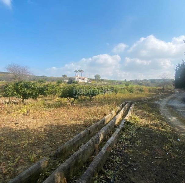 Foto a71488a3-69dc-4150-a240-4bbf73e7aa0c. Finca rústica a Cártama