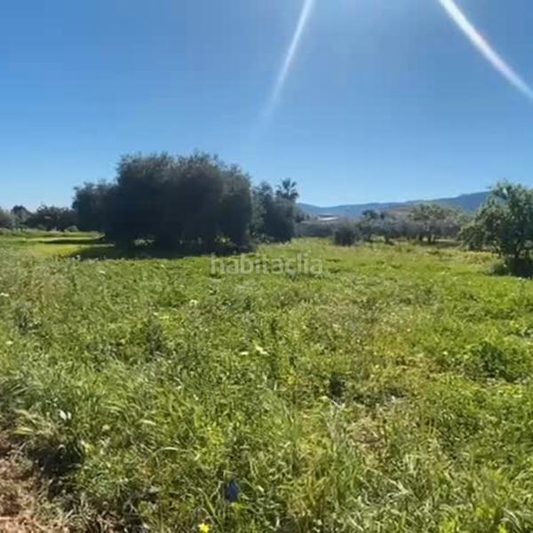 Foto 2be89665-b65c-4041-8d47-88bf3eba92d8. Fondo rustico in Alquería-Torrealquería Alhaurín de la Torre