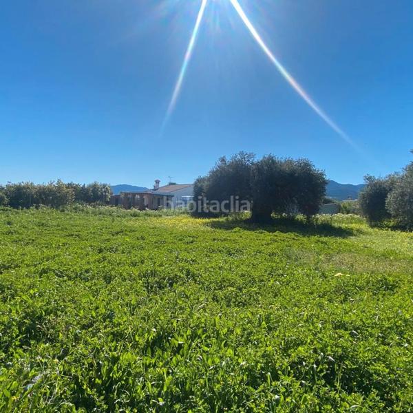 Foto 5b639249-137f-4b9d-8f7e-9bfc80f80628. Fondo rustico in Alquería-Torrealquería Alhaurín de la Torre