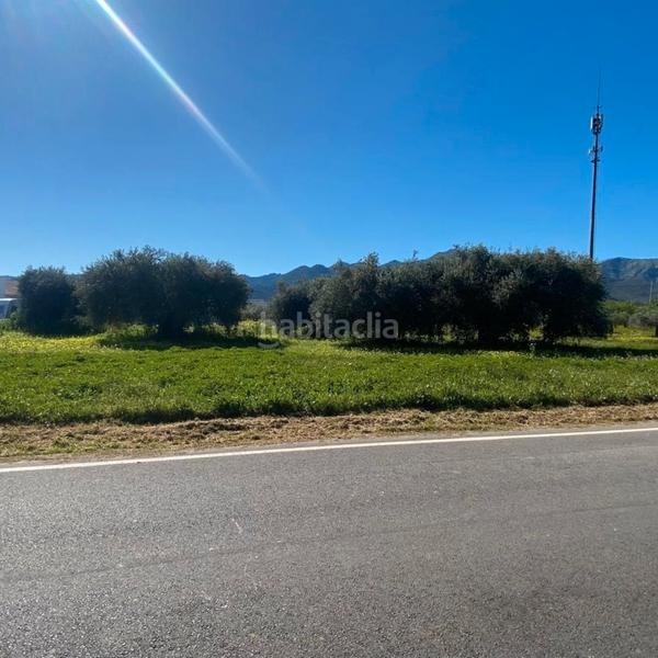 Foto 8ff845e8-fd85-49b8-82a2-bb8efbef7533. Fondo rustico in Alquería-Torrealquería Alhaurín de la Torre