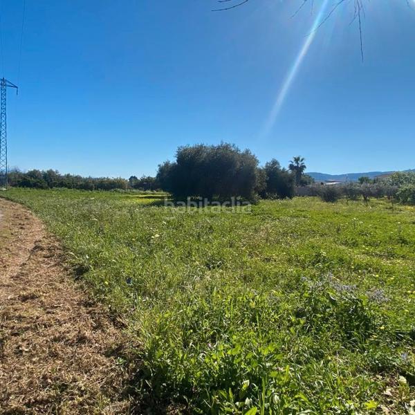 Foto d107ce74-95b1-4f4e-9aba-f9196ce3f689. Fondo rustico in Alquería-Torrealquería Alhaurín de la Torre