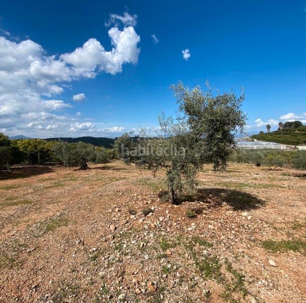 Foto 45306398-f197-403d-9150-cfa35b90f58d. Landgut in Centro Alhaurín el Grande