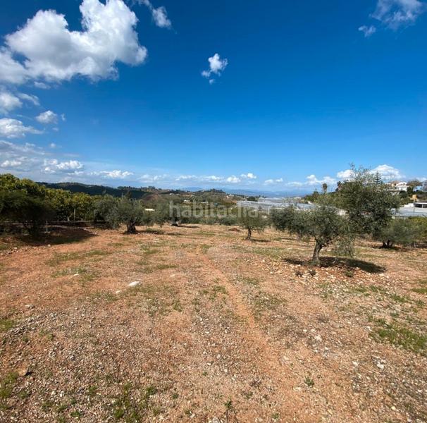 Foto 47944f18-51b0-476a-9f7b-54aedf663ee2. Landgut in Centro Alhaurín el Grande