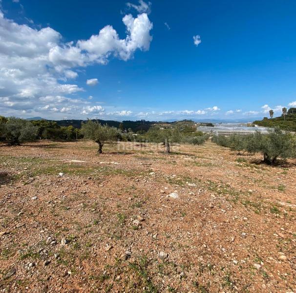 Foto 6a621c53-816c-44fe-8976-82d992dd94a3. Landgut in Centro Alhaurín el Grande