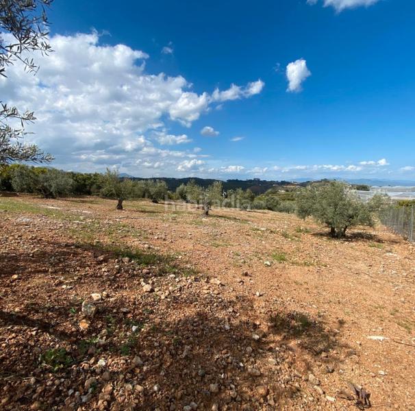 Foto 7f051aeb-fc5d-47d3-9a56-a1a528c86827. Landgut in Centro Alhaurín el Grande