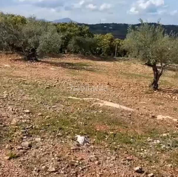 Foto 983008ad-67c7-4a59-9f0d-3952e3f87e77. Landgut in Centro Alhaurín el Grande