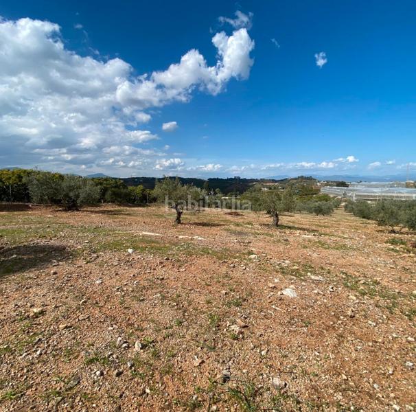 Foto c77c19a1-1899-428b-9906-e9450cd0f606. Landgut in Centro Alhaurín el Grande