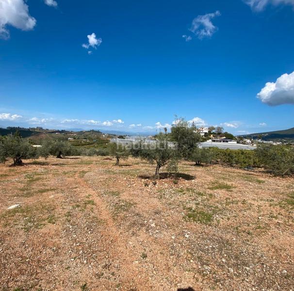 Foto e9cfc122-8073-40cd-ae0e-bc45b484f908. Landgut in Centro Alhaurín el Grande