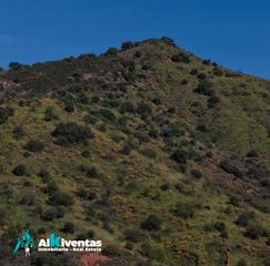 Landgut in Coín. Ref l2008 venta de finca rustica en coin