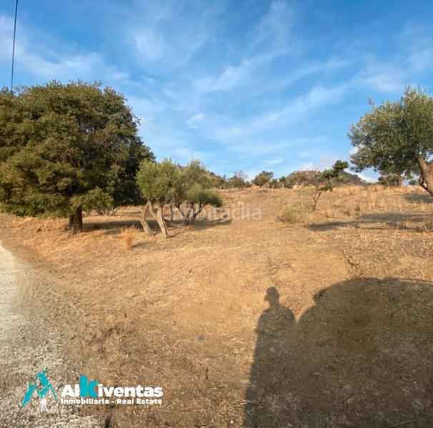 Foto 7ff4c70e-3a7d-4de9-8917-1e7bf36e68a7. Finca rústica a Cártama