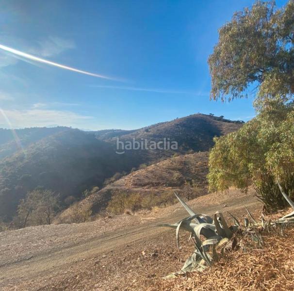 Foto 8c4734ea-2228-4855-8e6d-028aeb9bde4b. Finca rústica a Cártama