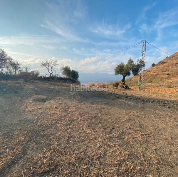 Foto a4ab29f7-278d-4b13-a791-a778db86efc1. Finca rústica a Cártama