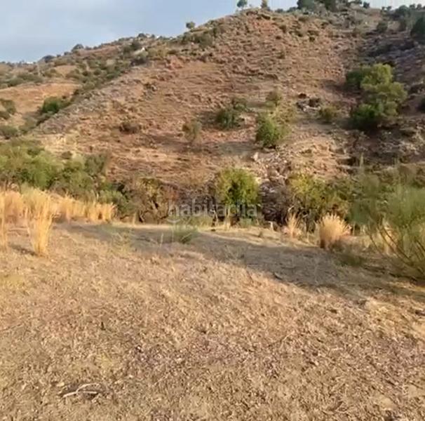 Foto cafaab50-7781-4101-bbaf-1c5ce3a4fabe. Finca rústica a Cártama