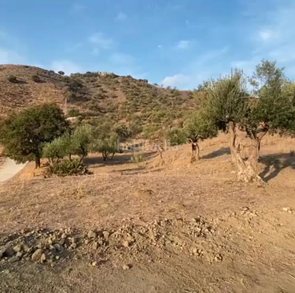 Foto f4872b96-ca12-4e9e-a197-e66feba44be8. Finca rústica a Cártama