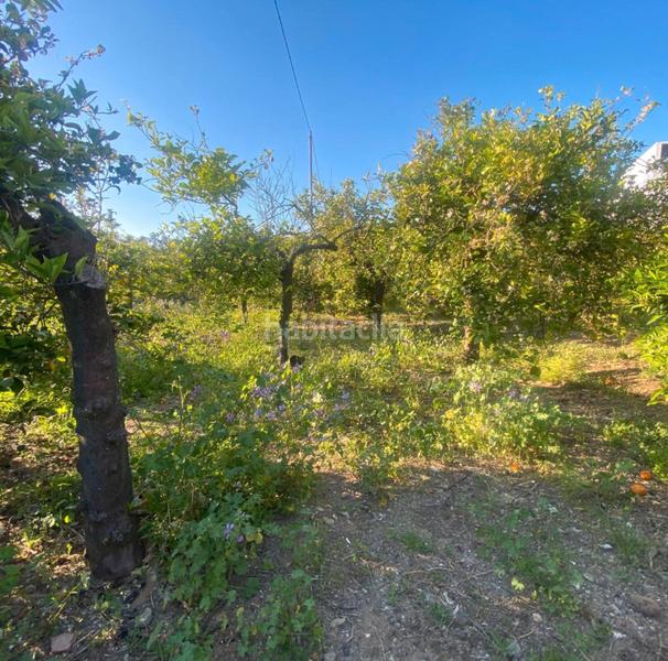 Foto 273ffa87-4f77-4d73-9af6-a2addefaf084. Propriété dans Pizarra