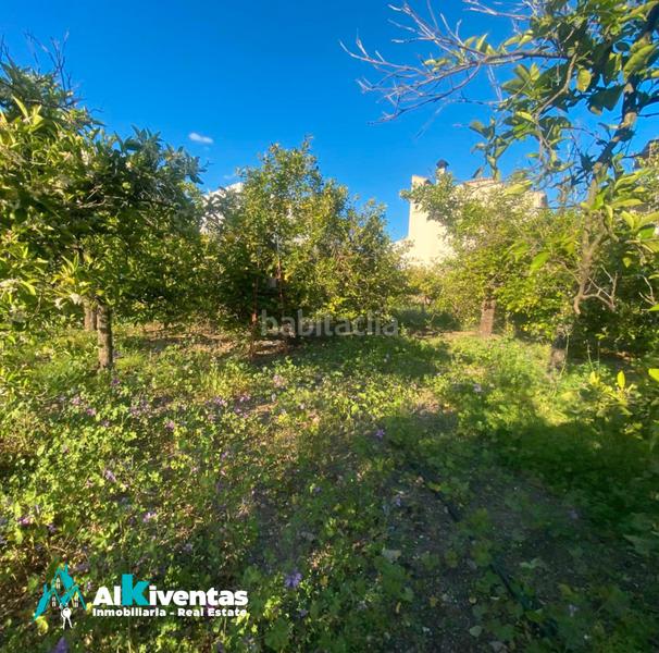 Foto 32bedf8e-d820-448f-86c0-ad9398050a71. Propriété dans Pizarra