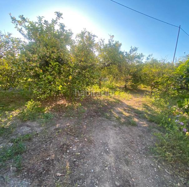 Foto 8603a7ac-f0e6-40aa-a686-97a45c2f20c8. Propriété dans Pizarra