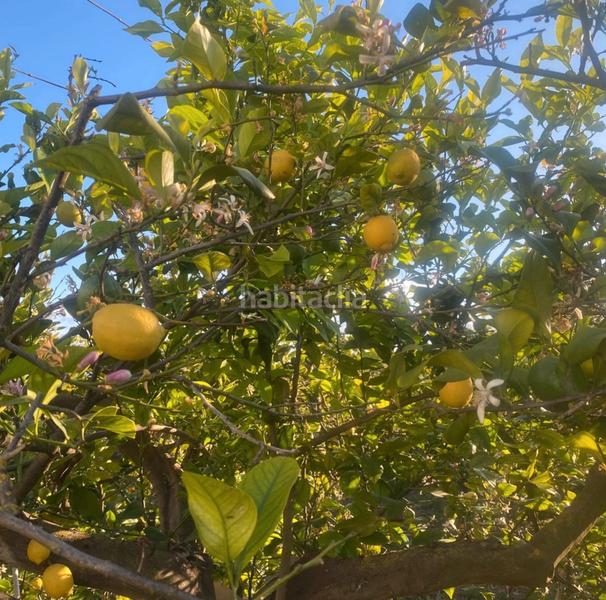 Foto 93ba7264-6fa8-4725-95de-27e82b2807ce. Propriété dans Pizarra