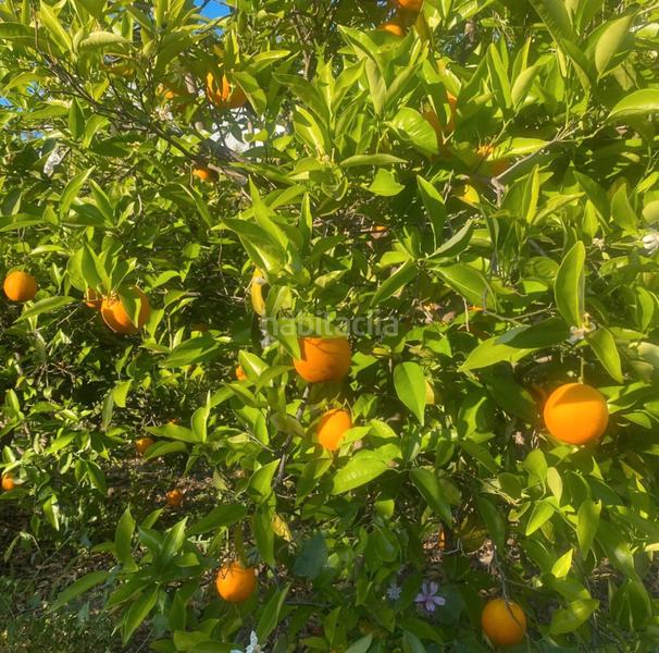 Foto f4c21db6-240b-4ee9-a3b3-4bdb41f7e6ac. Propriété dans Pizarra