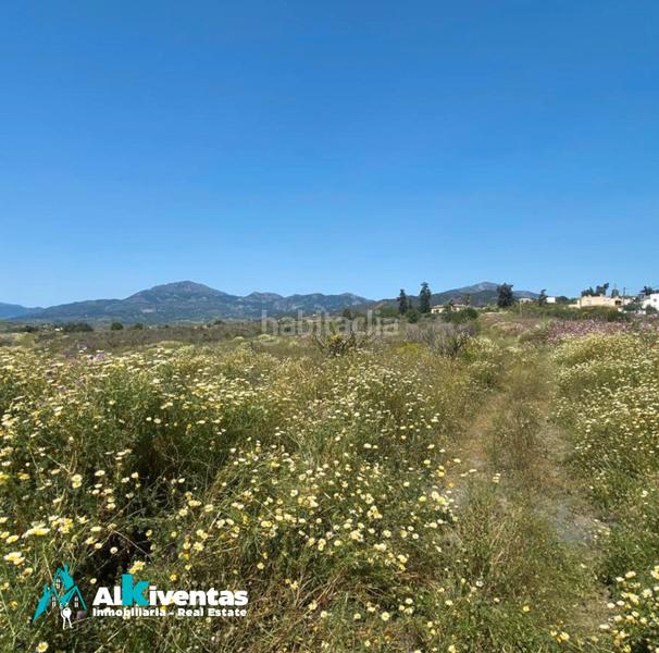 Foto 1b833309-9225-4951-a64e-8405a491ffd9. Finca rústica a Pizarra