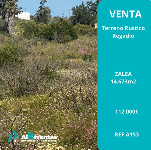 Foto 3a91344a-fd5b-4cc7-a13d-fea199f7ca8a. Finca rústica a Pizarra