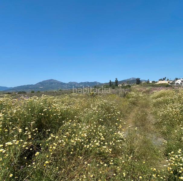 Foto 5c4119a6-70b4-4b36-bed8-a057a0ceaac5. Finca rústica a Pizarra
