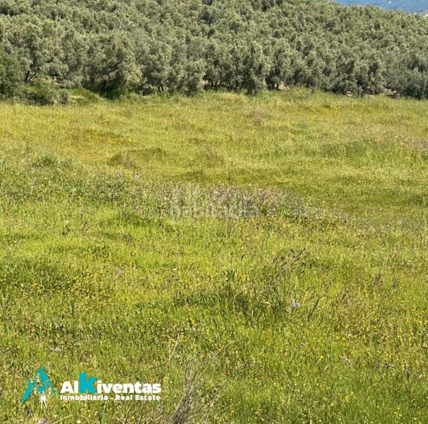 Foto 42a1b944-0341-4767-b746-36791cfc92cd. Propriété dans Casarabonela