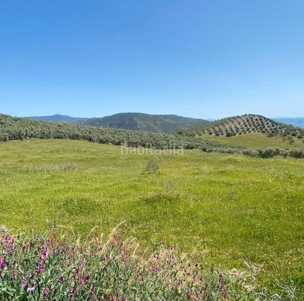 Foto 65b6e5f6-a5da-4cc0-a76a-a875c3a01de9. Propriété dans Casarabonela