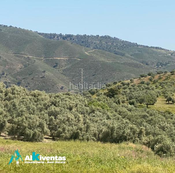 Foto a116f4e6-acaf-4c64-84d2-4ef1e9f7bb89. Propriété dans Casarabonela