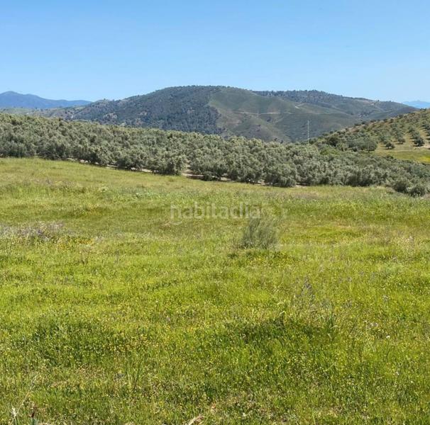 Foto ad256b17-9f20-4c94-8eb3-4dfba237d345. Propriété dans Casarabonela