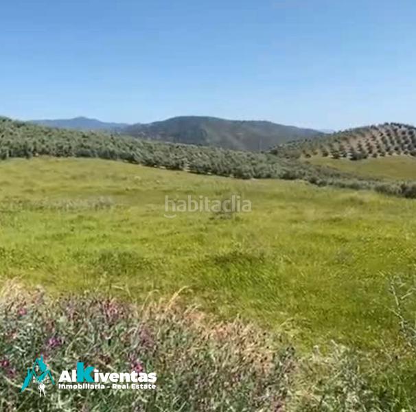 Foto ff8fc56f-0af8-4174-a7d3-f1a451b5b6ef. Propriété dans Casarabonela